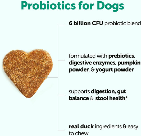 Micro Ingredients Probiotics for Dogs Soft Chews – 6 Billion CFU with Prebiotics, Enzymes & Pumpkin, Duck Flavor, 240 Count