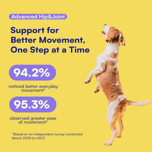 Dog Hip & Joint Supplement Soft Chews Glucosamine MSM Chondroitin 90 Count