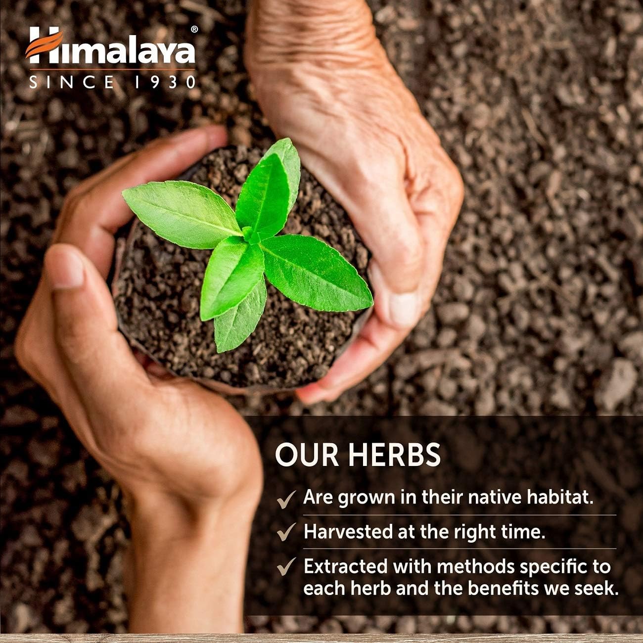 Himalaya GlucoCare Herbal Glucose Support Supplement 90 Vegan Capsules