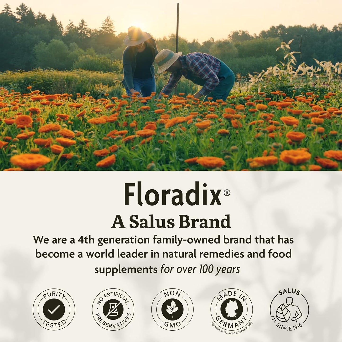 Floradix Iron and Herbs Liquid Supplement with Vitamin C and B Complex 8.5 fl oz