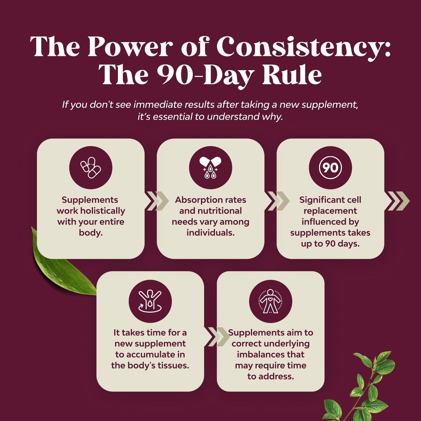 Advanced Kidney Support Supplement Cranberry Uva Ursi Nettle Astragalus 60 Count