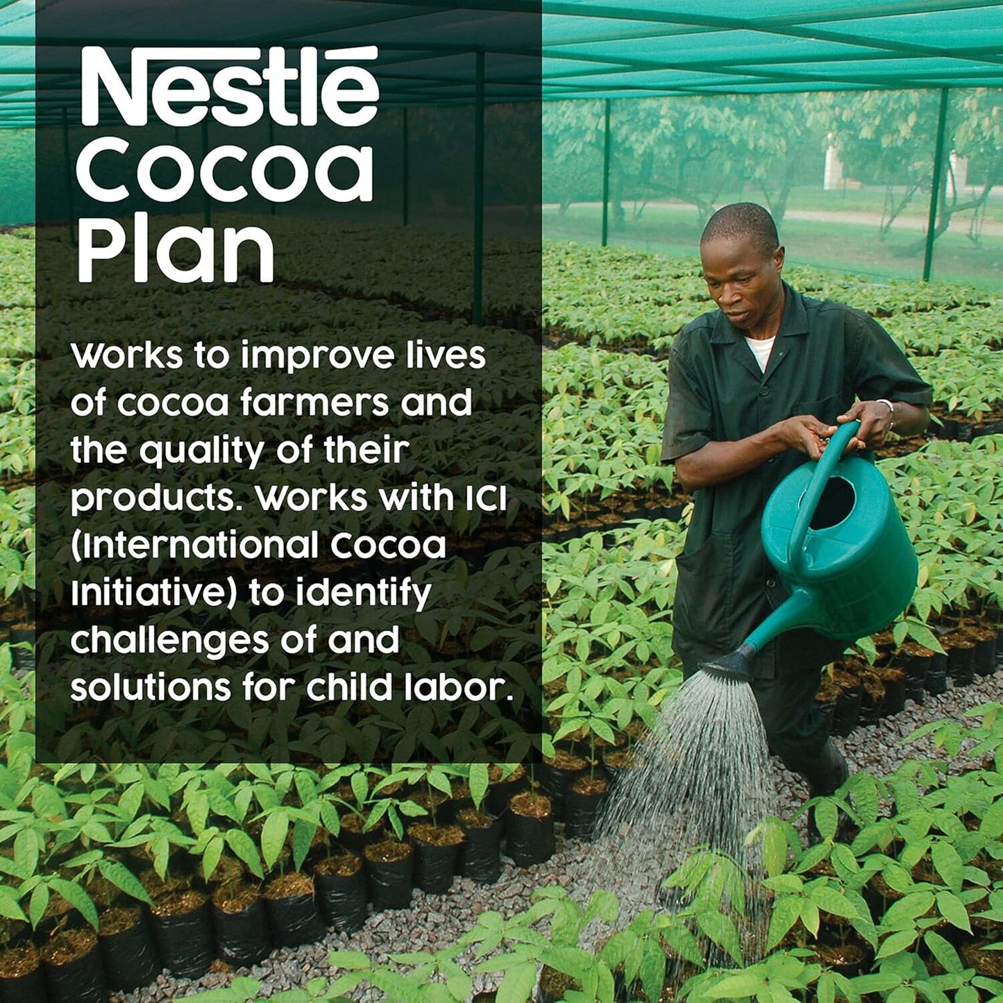 Nestlé Hot Chocolate Mix Packets No Sugar Added Fat Free 30 Count
