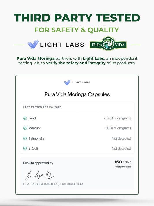 PURA VIDA MORINGA Organic Moringa Leaf Powder 8 oz – 100% Pure USDA Organic Moringa Oleifera for Smoothies & Recipes