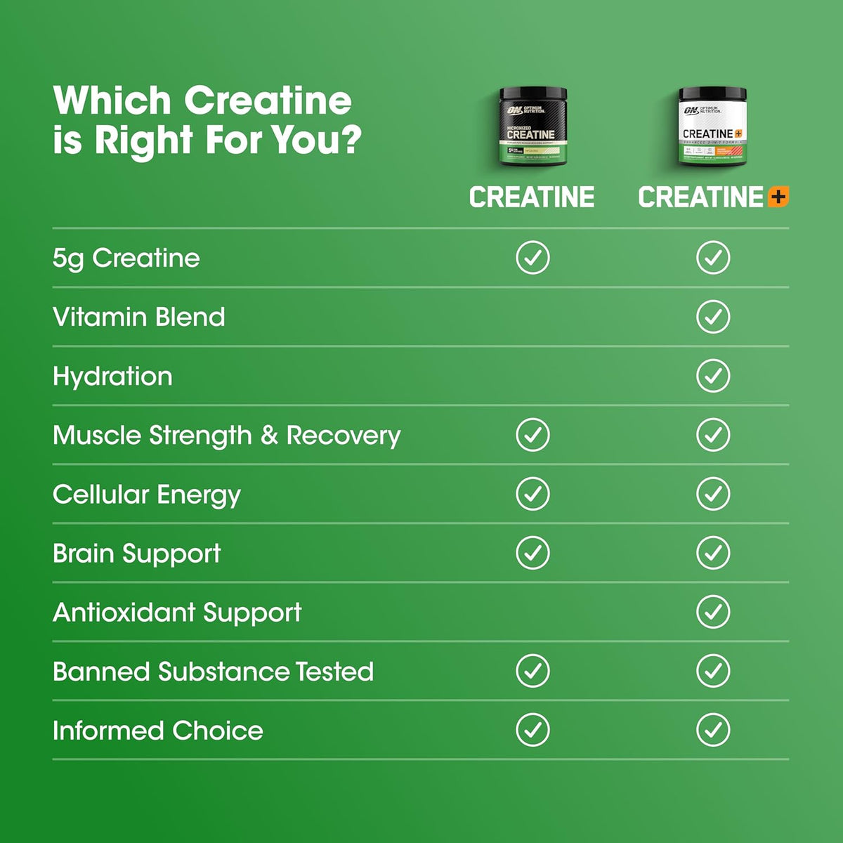 Optimum Nutrition Micronized Creatine Monohydrate Powder Unflavored 60 Servings
