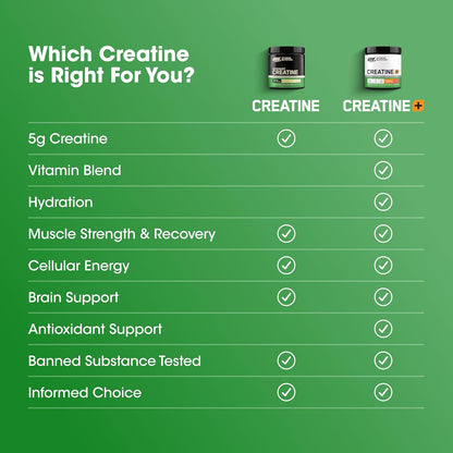 Optimum Nutrition Micronized Creatine Monohydrate Powder Unflavored 60 Servings