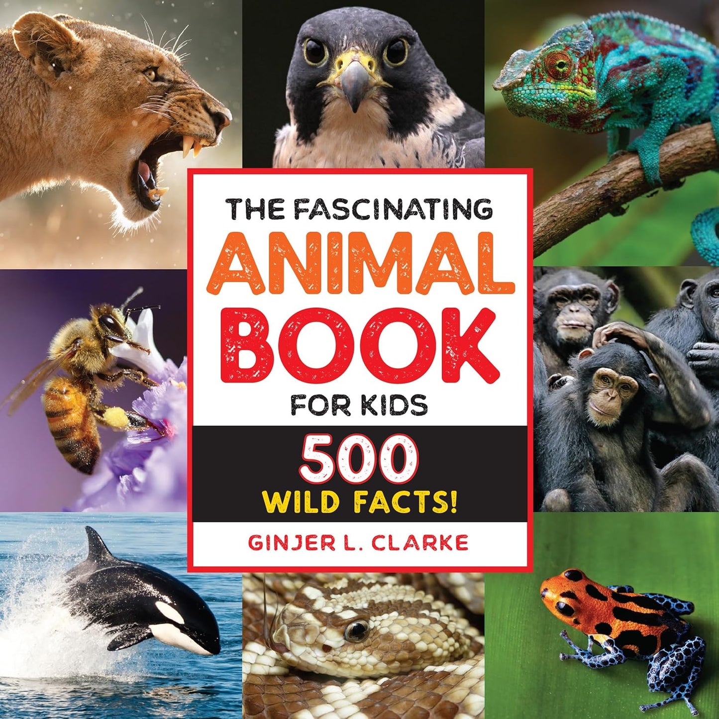The Fascinating Animal Book for Kids 500 Wild Facts Children’s Book