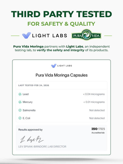 PURA VIDA MORINGA Organic Moringa Capsules 500mg – Pure Leaf Powder for Energy & Wellness Support, 120 Capsules