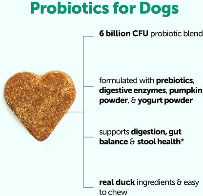 Micro Ingredients Probiotics for Dogs Soft Chews – 6 Billion CFU with Prebiotics, Enzymes & Pumpkin, Duck Flavor, 240 Count