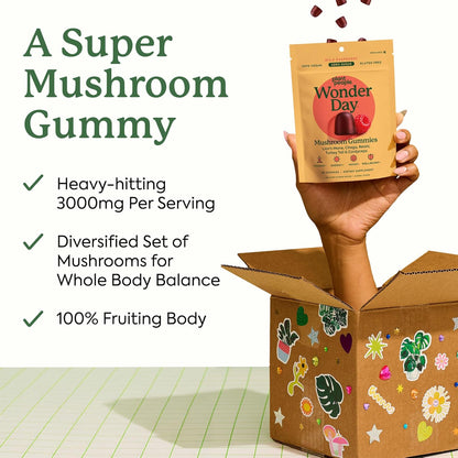 Plant People WonderDay Mushroom Gummies with Lion’s Mane, Cordyceps & Chaga 60 Gummies