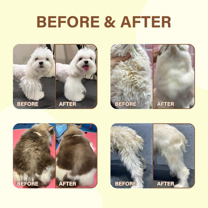 Pet Fur Care Oil – Leave-In Conditioner with Collagen & Natural Oils for Dogs & Cats, 1.01 fl oz
