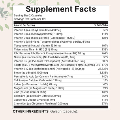Micro Ingredients Methylated Multivitamin 19-in-1 Non-GMO 240 Capsules