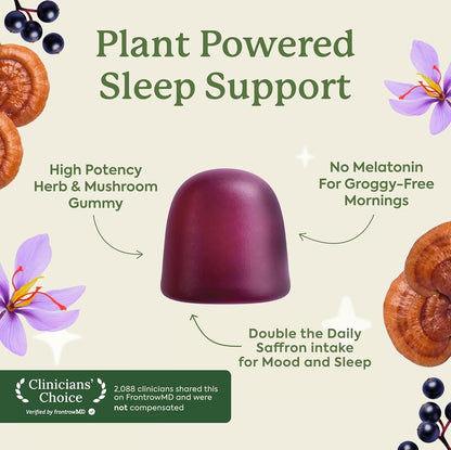 Plant People WonderSleep Mushroom Gummies with Reishi Mushroom, Saffron & Chamomile 60 Count