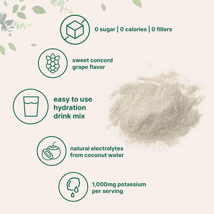 Micro Ingredients Electrolyte Powder Concord Grape High Potassium 2 lbs