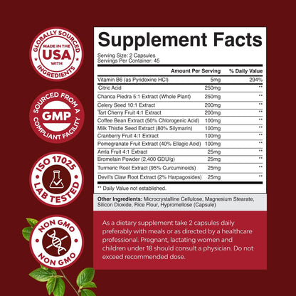 Green Coffee Bean Extract Capsules Turmeric Tart Cherry Celery Seed 90 Count