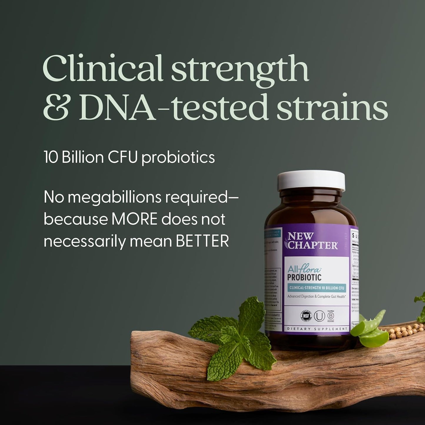 New Chapter All-Flora Probiotic with Prebiotics & Postbiotics Vegetarian Capsules 60 Count