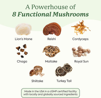 Plant People WonderDay Mushroom Gummies with Lion’s Mane, Cordyceps & Chaga 60 Gummies