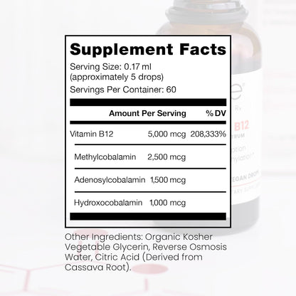 Pure TheraPro Vegan Vitamin B12 Sublingual Liquid – 1,000 mcg per Drop, 10 ml