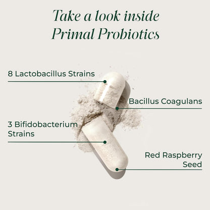 Primal Harvest Daily Probiotic 12 Strains Capsules 30 Count