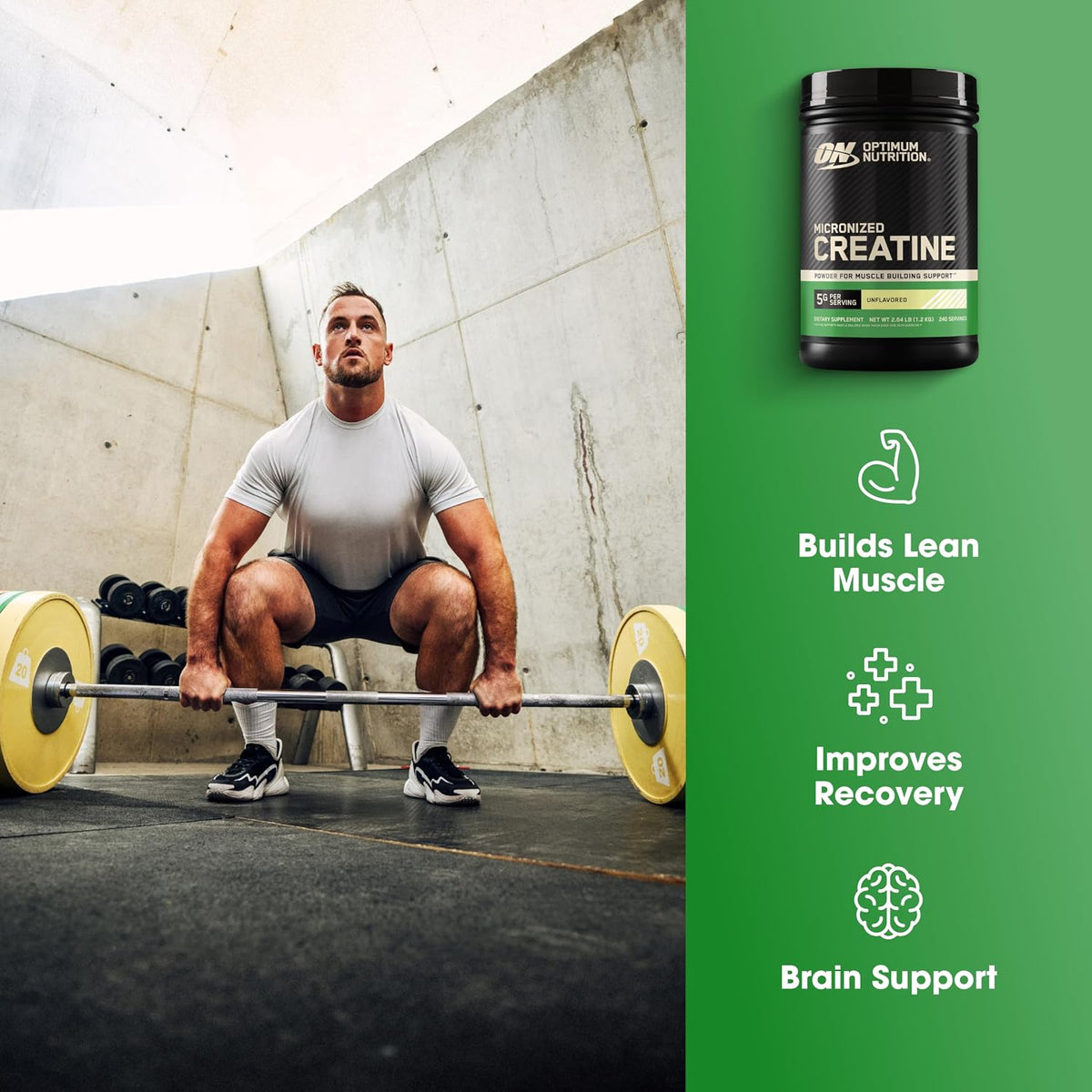 Optimum Nutrition Micronized Creatine Monohydrate Powder Unflavored 240 Servings