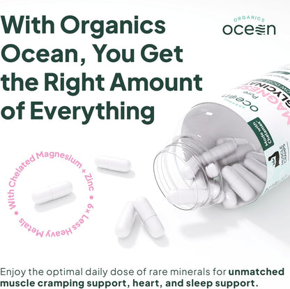 Organics Ocean Magnesium Glycinate with Zinc Capsules 90 Count