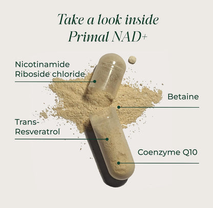 Primal Harvest NAD+ Supplement Nicotinamide Riboside Resveratrol Betaine CoQ10 Capsules