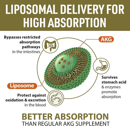 Liposomal Calcium AKG Alpha Ketoglutaric Acid 1500 mg Softgels 60 Count