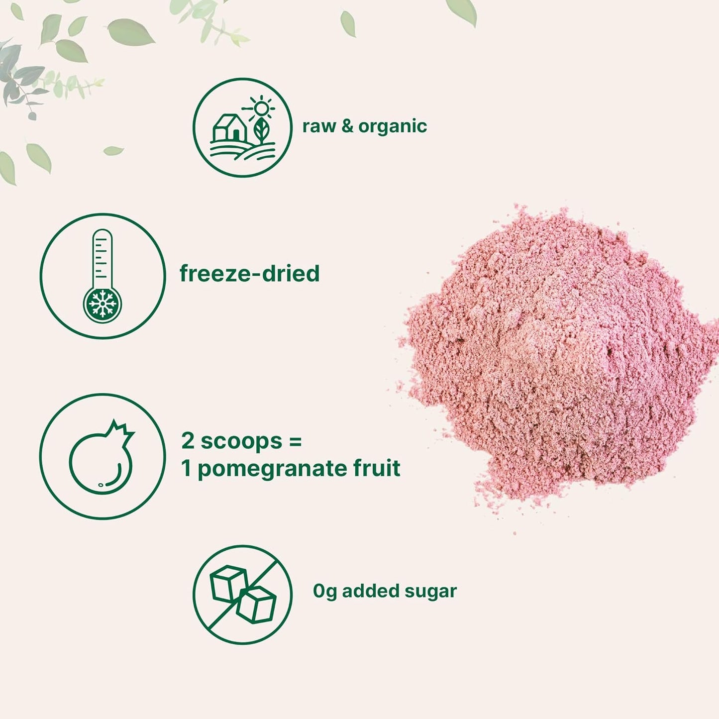 Organic Pomegranate Juice Powder 1lb – 100% Natural Fruit Powder for Smoothies, Drinks & Beverages