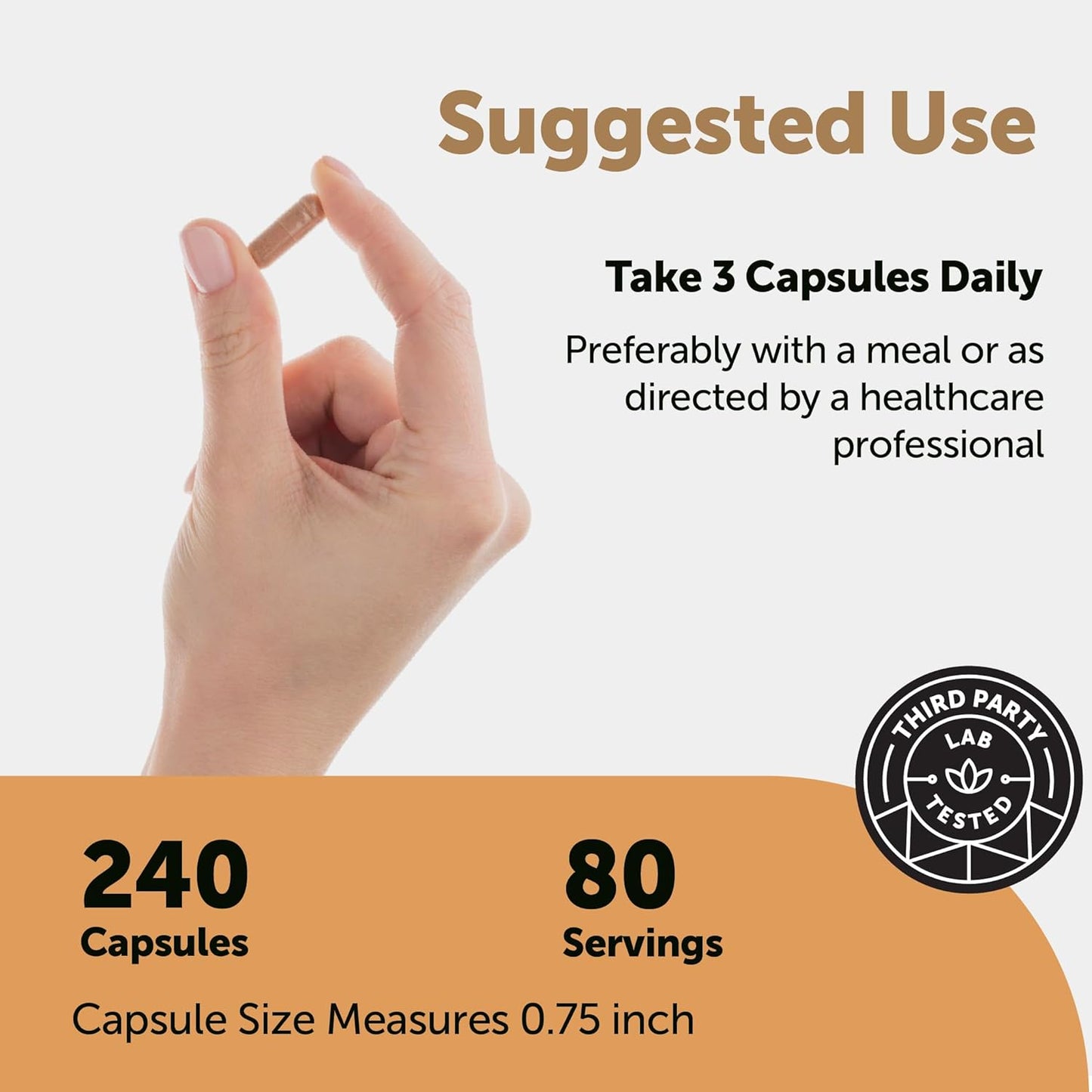 Micro Ingredients Nattokinase 10,000 FU with CoQ10, Turmeric, Aged Garlic & Pine Bark – Non-GMO, Lab Tested, 240 Veg Capsules