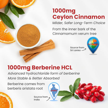 Berberine Gummies Ceylon Cinnamon Bitter Melon Chromium Magnesium B6 B12 Vegan 60 Count