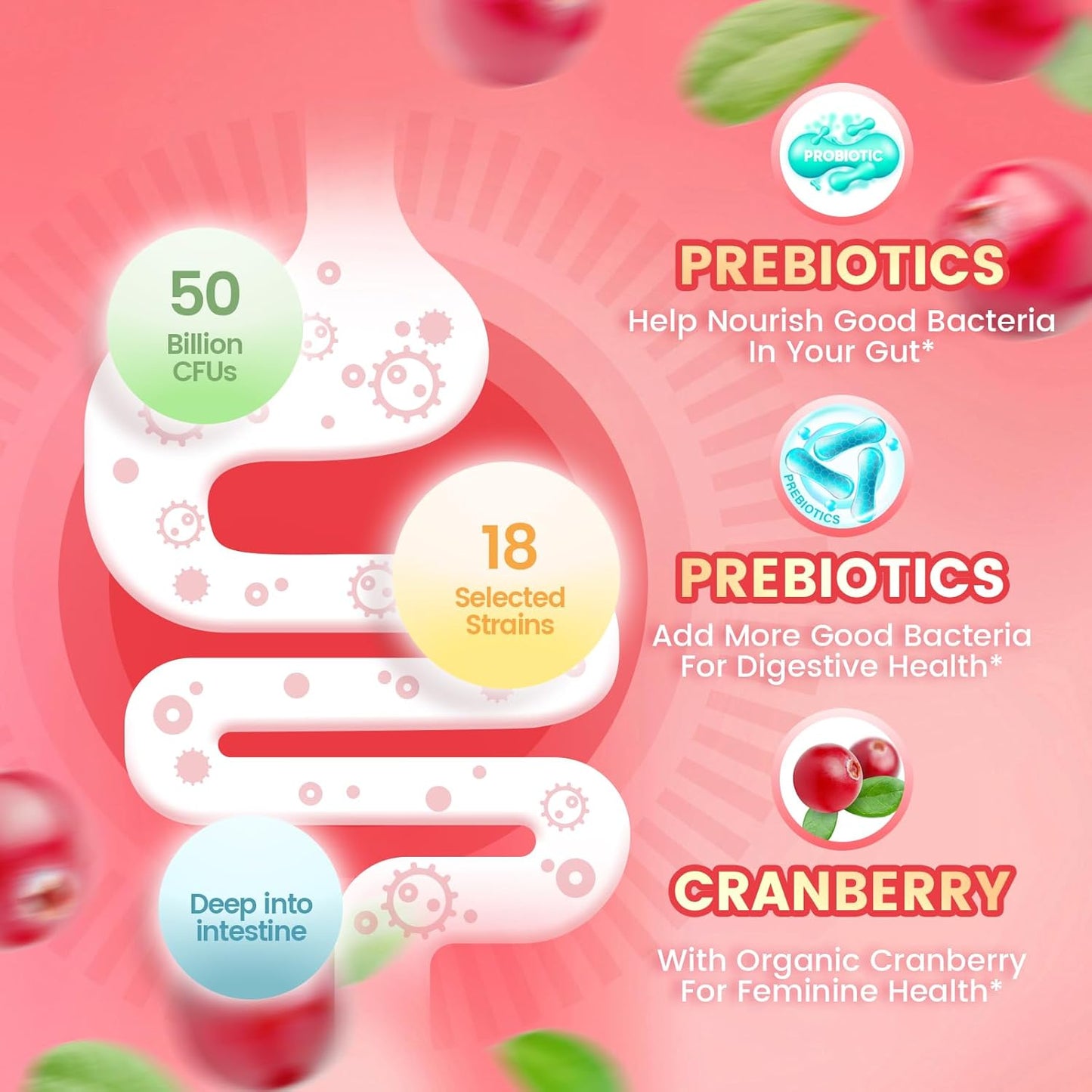VivoNu Probiotic Gummies for Women with Prebiotics Cranberry 60 Count