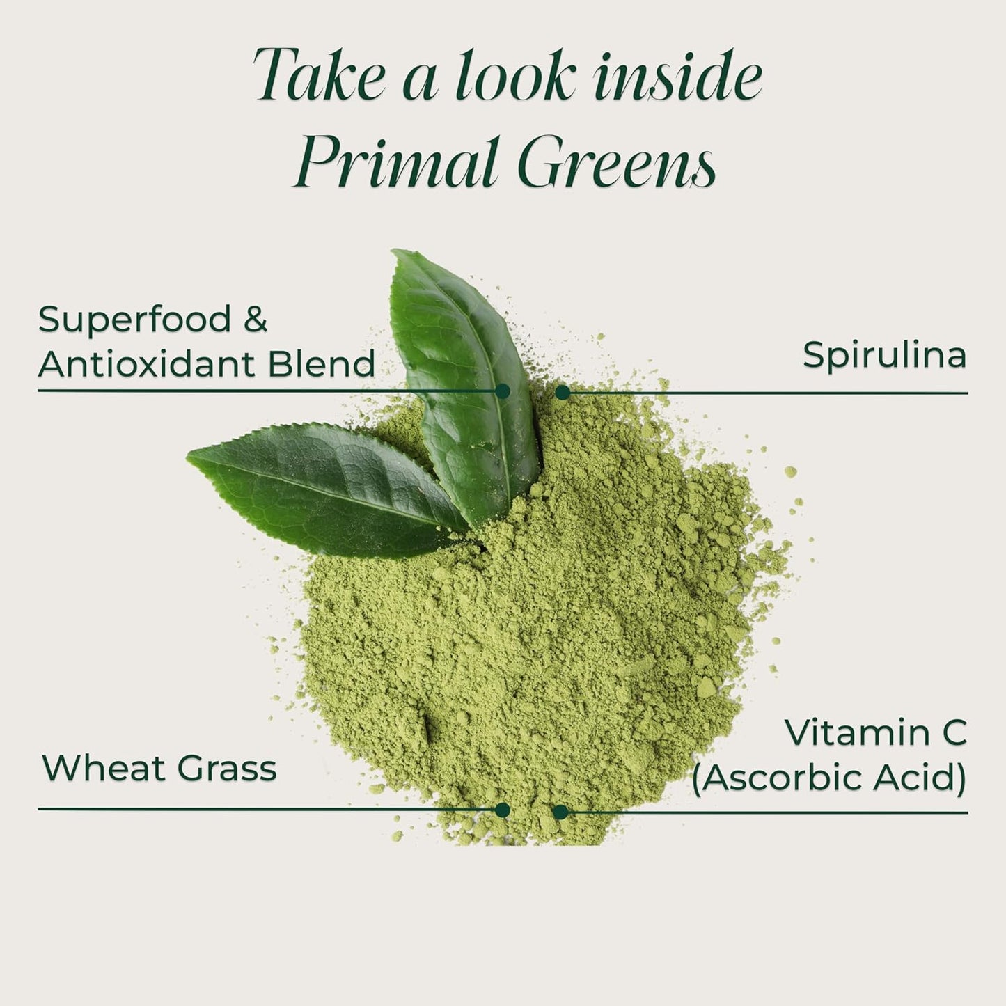 Primal Harvest Super Greens Powder Chlorella Probiotics Green Tea Wheatgrass Kale Turmeric 30 Servings