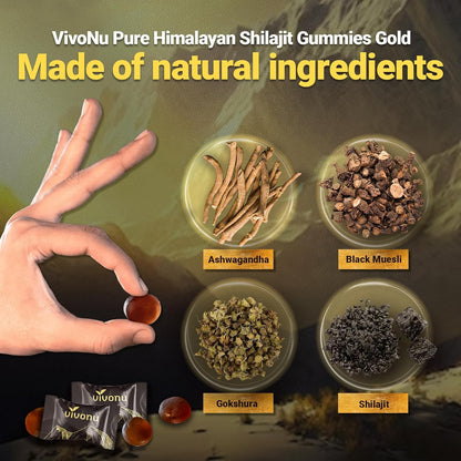 VIVONU Shilajit Gummies with Ashwagandha Gokshura Fulvic Acid 3000 mg Pack