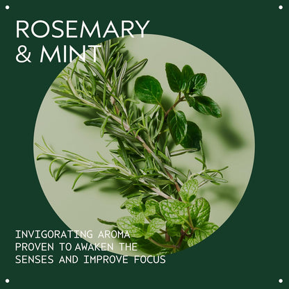 Aveda Rosemary Mint Purifying Shampoo 97% Naturally Derived