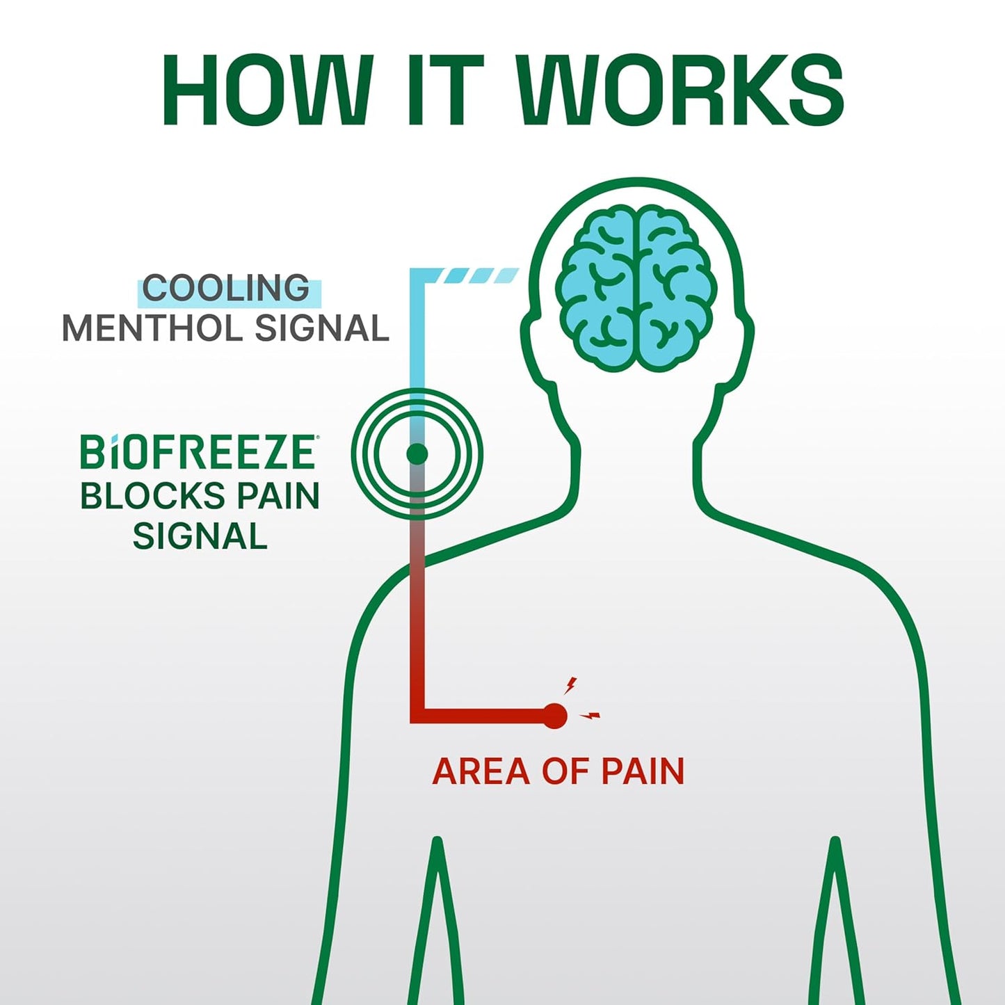Biofreeze Professional Menthol Pain Relief Spray 4 fl oz (Pack of 2) – Cooling Spray for Sore Muscles & Joint Pain