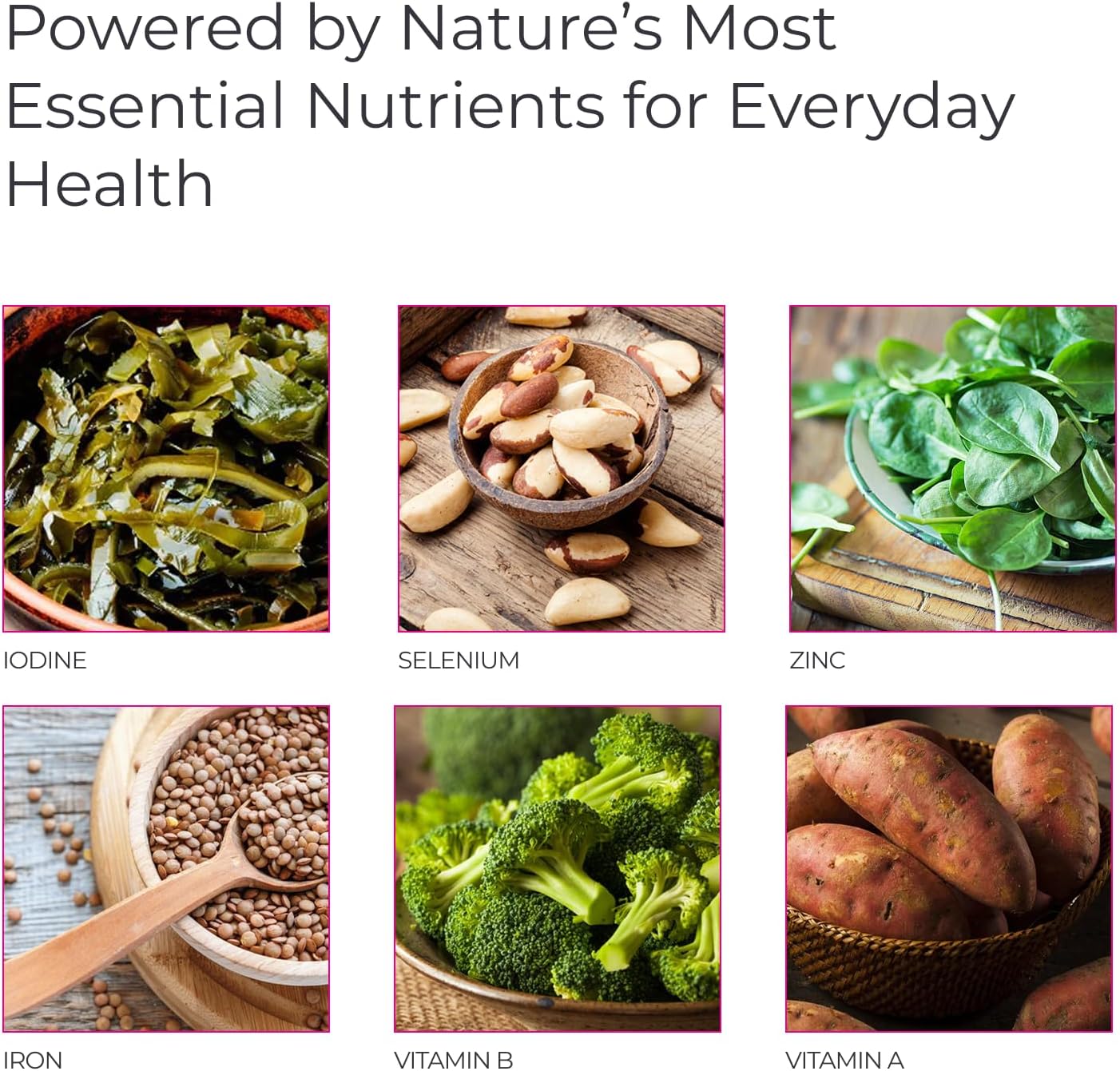 Livingood Daily Methylated Multivitamin with B Vitamins & Minerals 60 Capsules