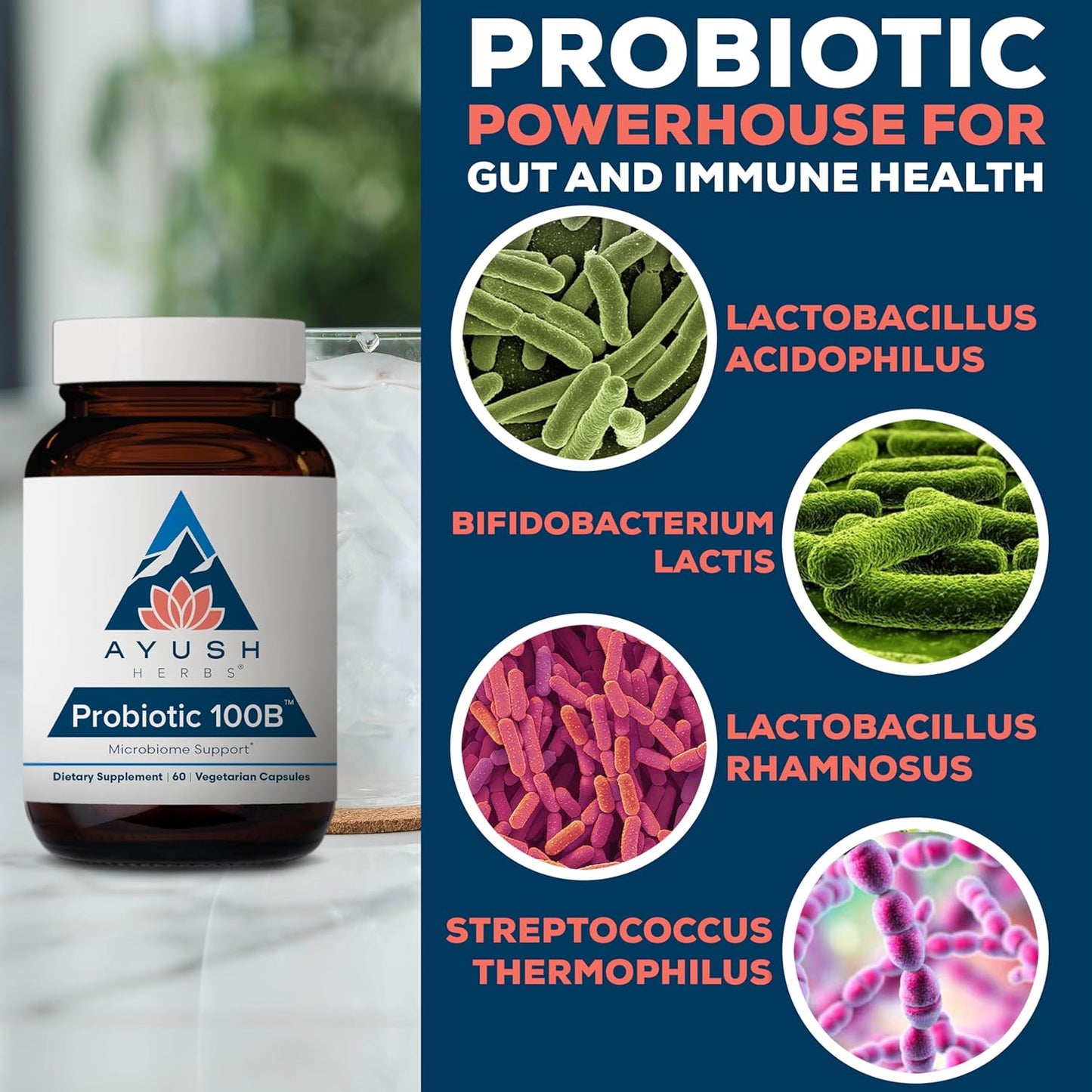 Ayush Herbs Probiotic 100B with Prebiotics Vegetarian Capsules 60 Count