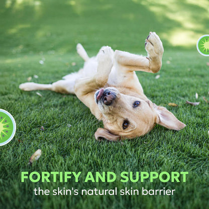 Nutramax Dermaquin Skin Support Soft Chews for Large Dogs 60 Count