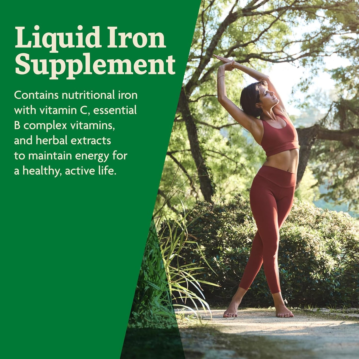 Floradix Iron and Herbs Liquid Supplement with Vitamin C and B Complex 8.5 fl oz