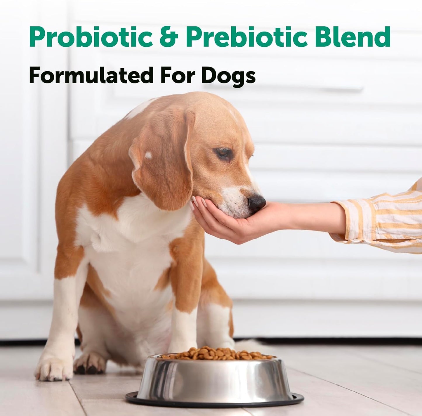Micro Ingredients Probiotics for Dogs Soft Chews – 6 Billion CFU with Prebiotics, Enzymes & Pumpkin, Duck Flavor, 240 Count
