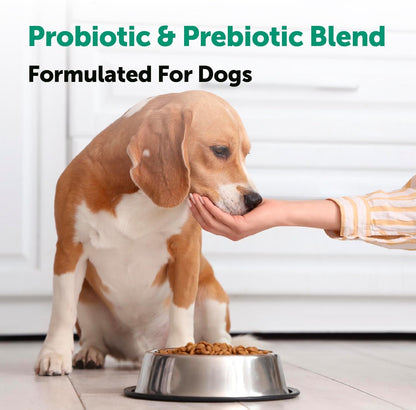 Micro Ingredients Probiotics for Dogs Soft Chews – 6 Billion CFU with Prebiotics, Enzymes & Pumpkin, Duck Flavor, 240 Count
