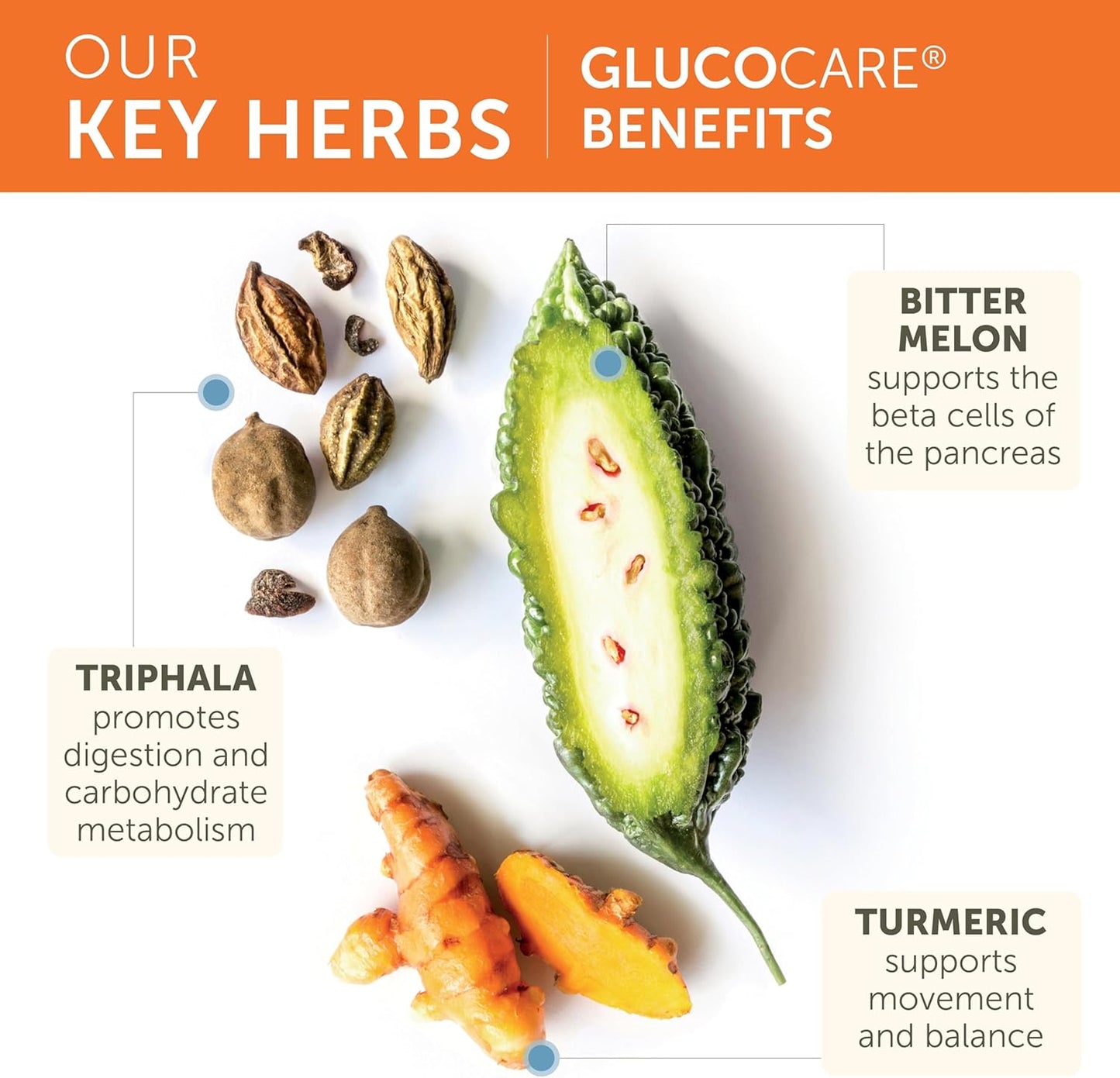 Himalaya GlucoCare Herbal Glucose Support Supplement 90 Vegan Capsules
