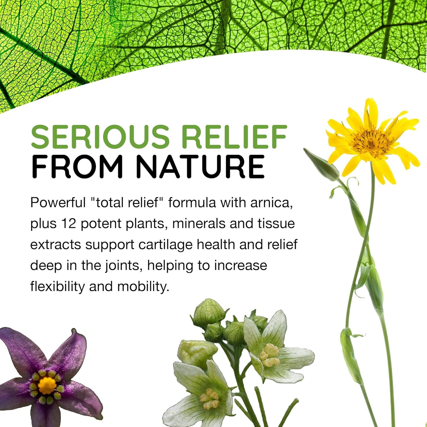 T-Relief Arnica +12 Natural Medicine Tablets 100 Count 2 Pack