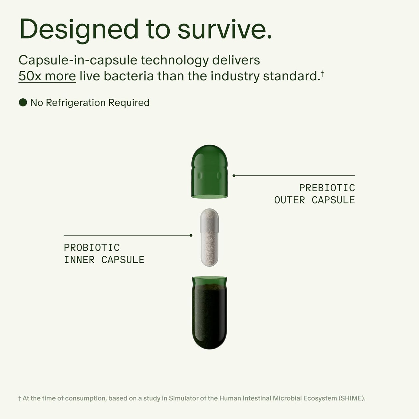 Seed DS-01 Daily Synbiotic Prebiotic Probiotic Capsules 60 Count