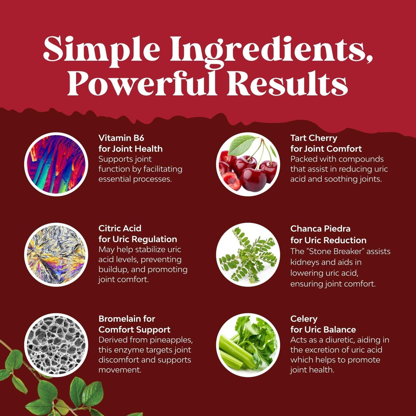 Green Coffee Bean Extract Capsules Turmeric Tart Cherry Celery Seed 90 Count