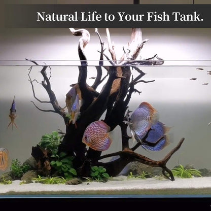 Majoywoo Natural Driftwood Aquarium and Reptile Decor Branches 3 Piece