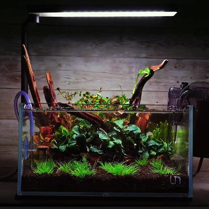 Majoywoo Natural Small Driftwood Aquarium and Reptile Decor 10 Piece