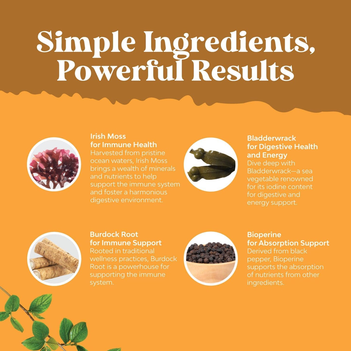 Irish Sea Moss Capsules Bladderwrack Burdock Root Blend 30 Count