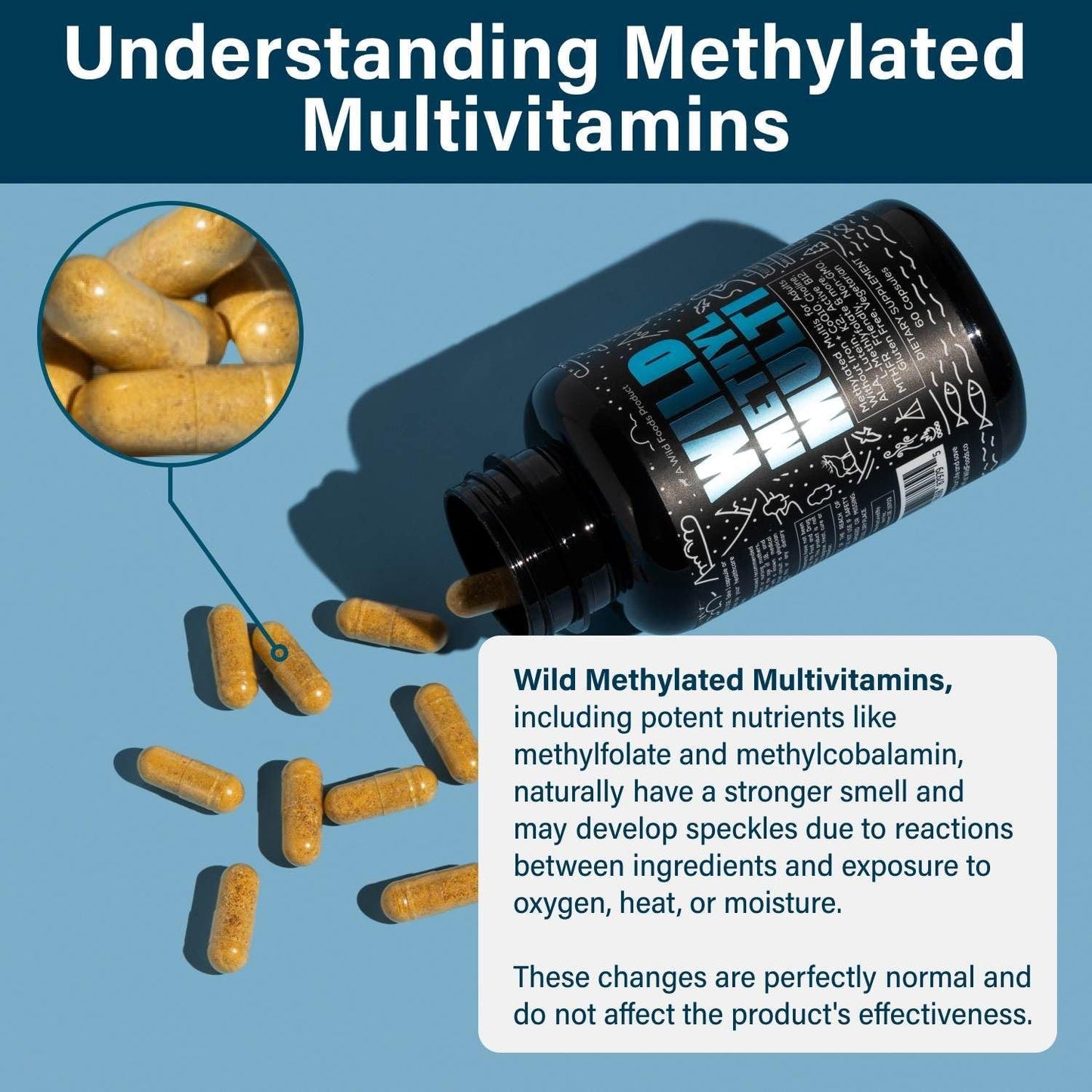 Wild Methylated Multivitamin Capsules for Women & Men with B12, Folate and CoQ10 60 Count