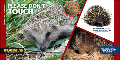 The Fascinating Animal Book for Kids 500 Wild Facts Children’s Book