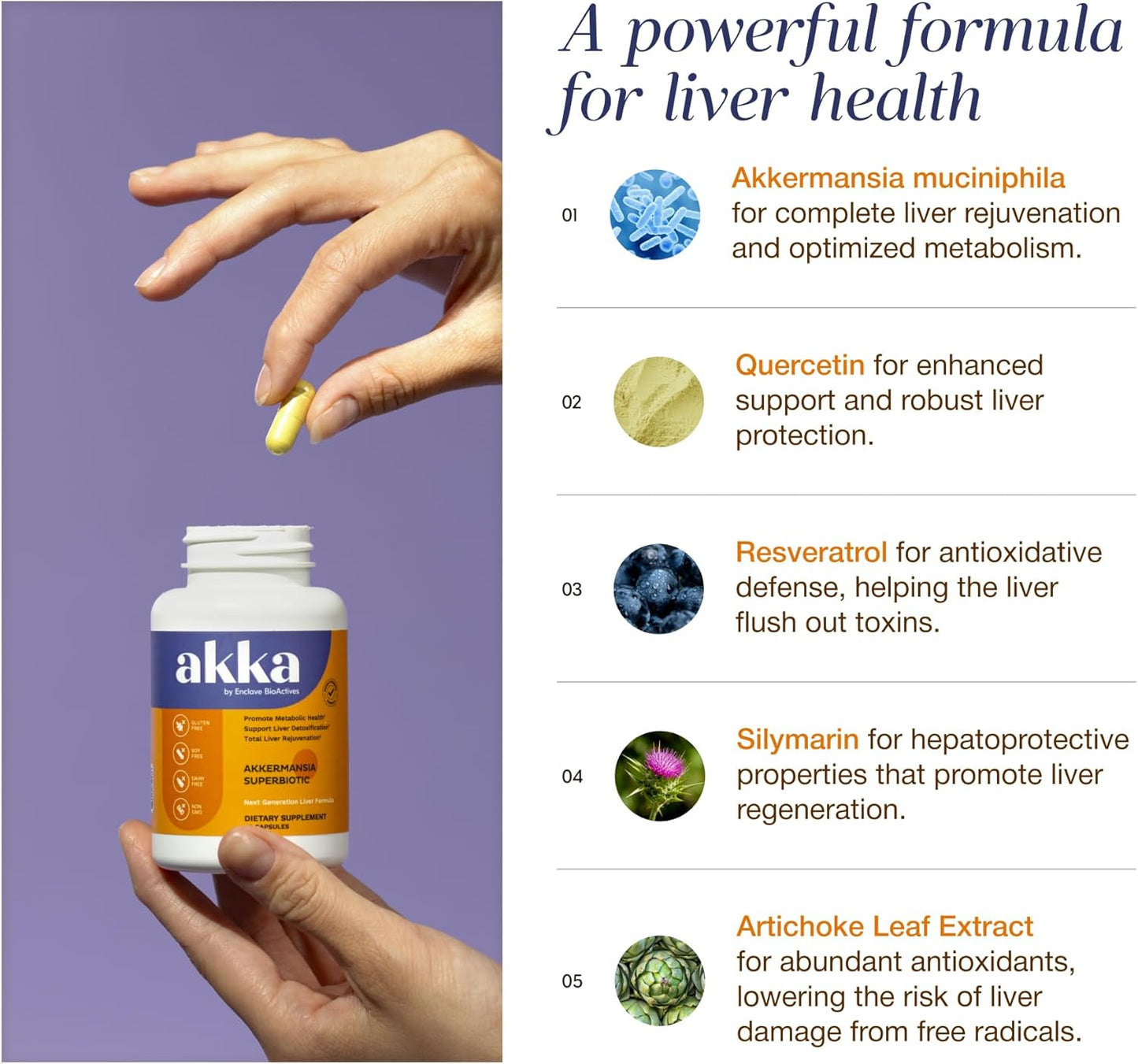 AKKA Premium Liver Supplement Capsules – Akkermansia Formula, Non-GMO, Gluten-Free, 60 Count